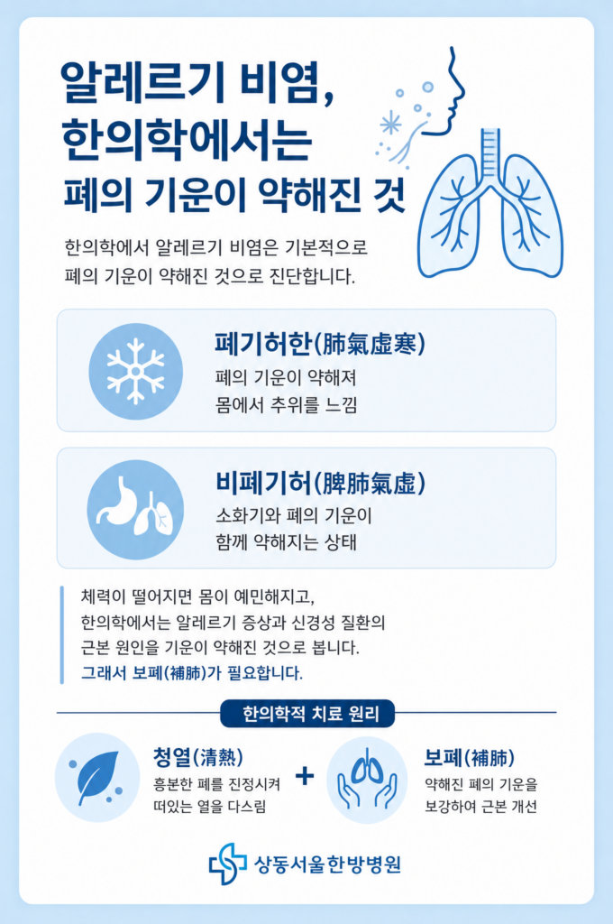 알레르기 비염 보폐고 효능 효과를 설명하는 카드뉴스. 하단에는 상동서울한방병원 로고.